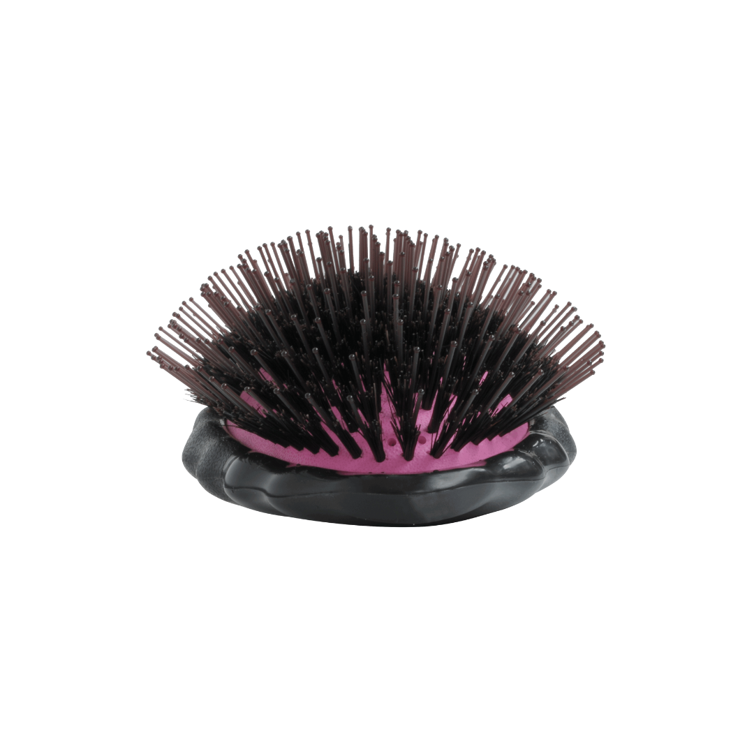 YS Park Luster Cushion Eco Styler Beetle YS-50 AC2